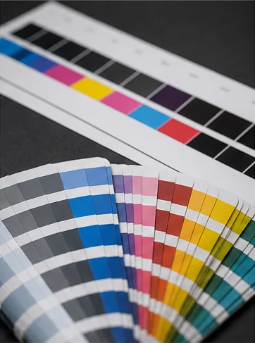 Profesionální CMYK kontrolní škála a vzorník barev